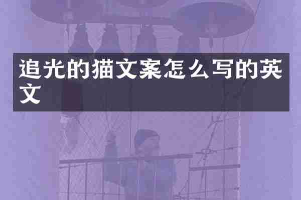 追光的猫文案怎么写的英文
