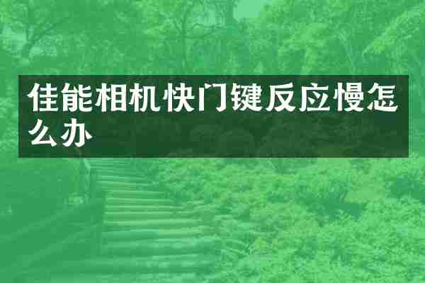 佳能相机快门键反应慢怎么办