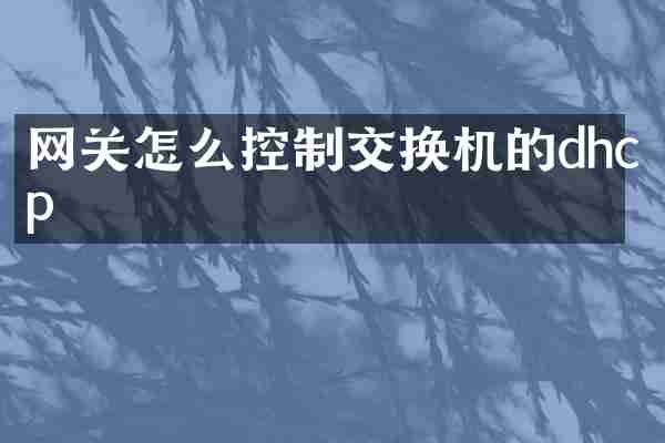 网关怎么控制交换机的dhcp
