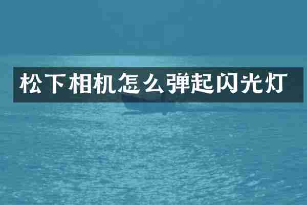 松下相机怎么弹起闪光灯