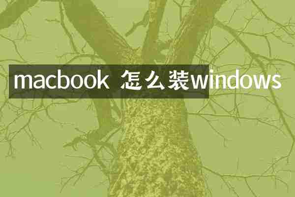 macbook 怎么装windows