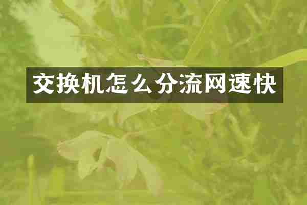交换机怎么分流网速快