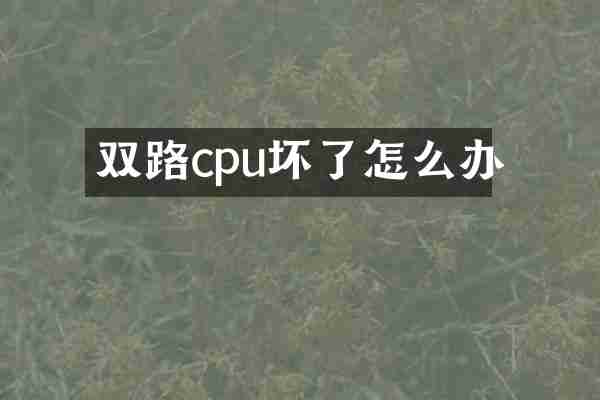 双路cpu坏了怎么办