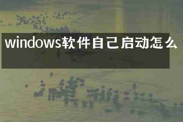 windows软件自己启动怎么办