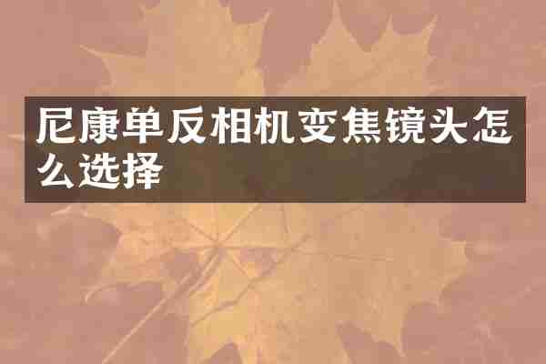 尼康单反相机变焦镜头怎么选择