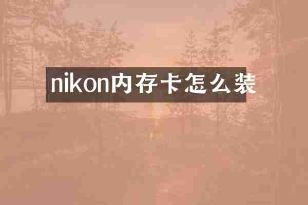 nikon内存卡怎么装