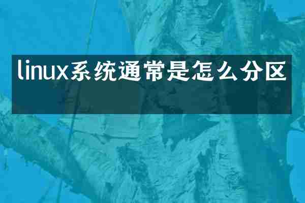 linux系统通常是怎么分区的