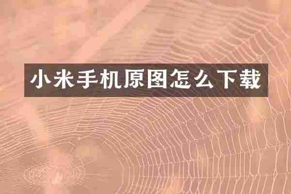 小米手机原图怎么下载