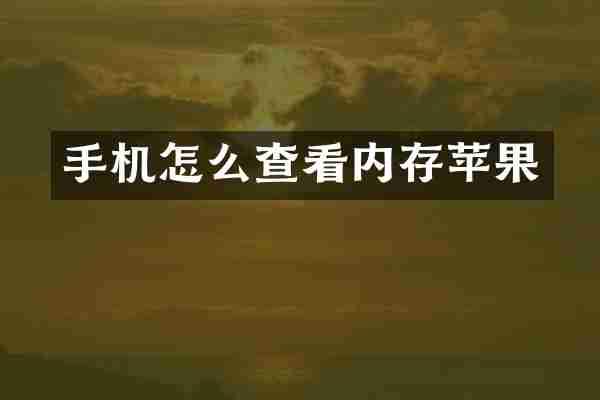 手机怎么查看内存苹果