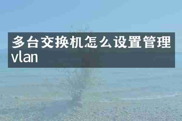 多台交换机怎么设置管理vlan