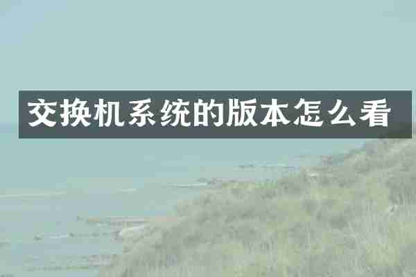 交换机系统的版本怎么看