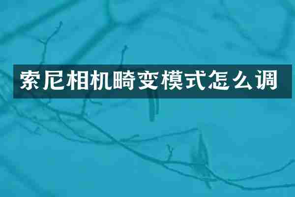 索尼相机畸变模式怎么调