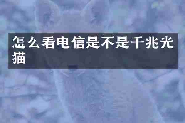 怎么看电信是不是千兆光猫