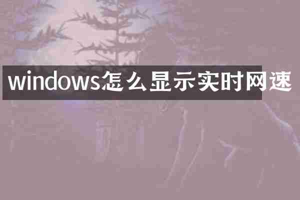 windows怎么显示实时网速