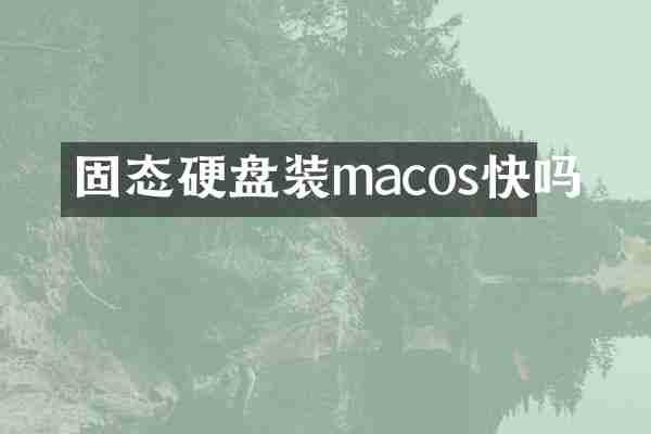 固态硬盘装macos快吗