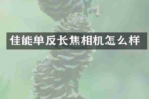 佳能单反长焦相机怎么样