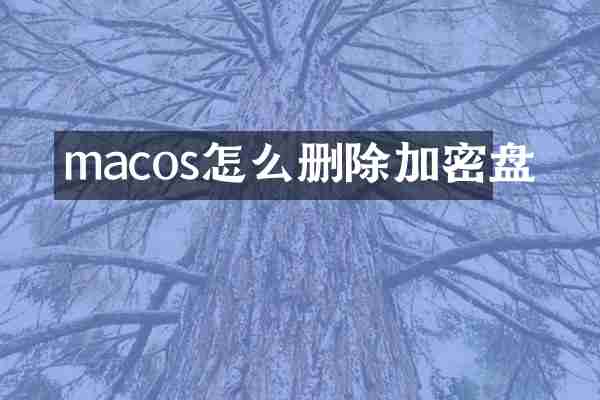 macos怎么删除加密盘
