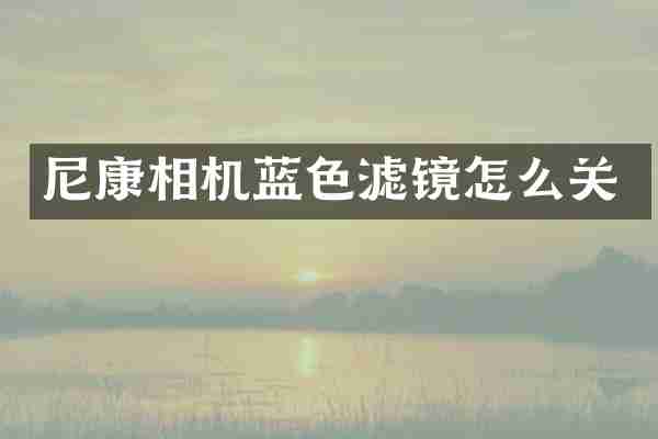 尼康相机蓝色滤镜怎么关
