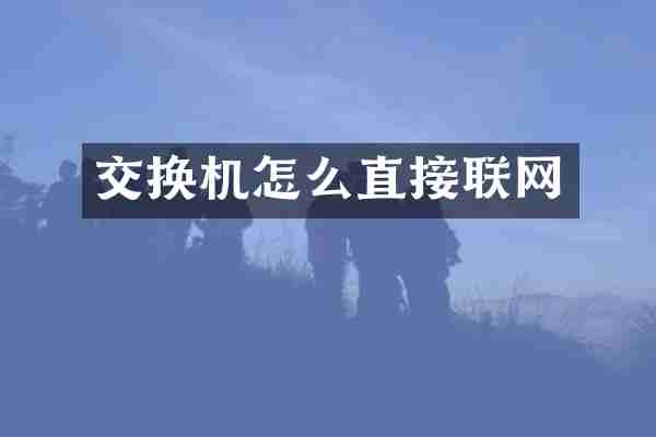 交换机怎么直接联网