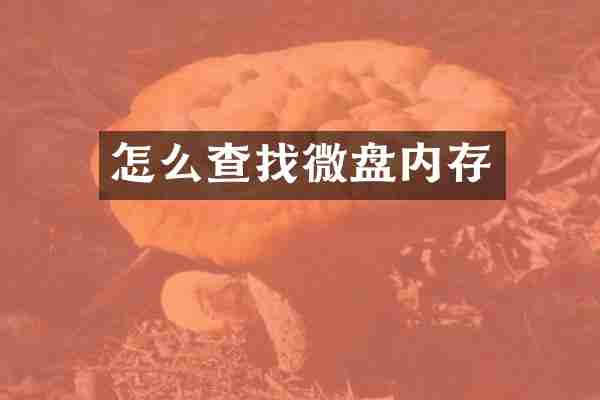怎么查找微盘内存