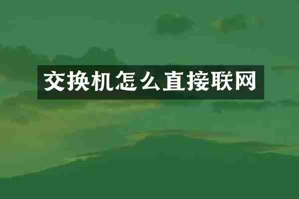 交换机怎么直接联网