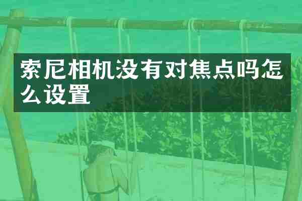 相机没有对焦点吗怎么设置