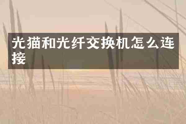 光猫和光纤交换机怎么连接
