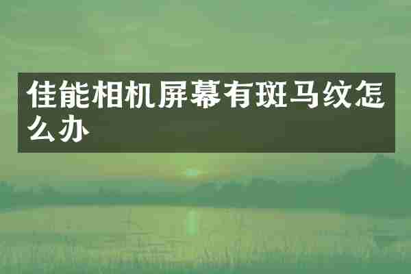 佳能相机屏幕有斑马纹怎么办