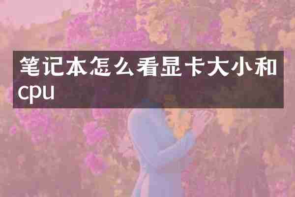 笔记本怎么看显卡大小和cpu