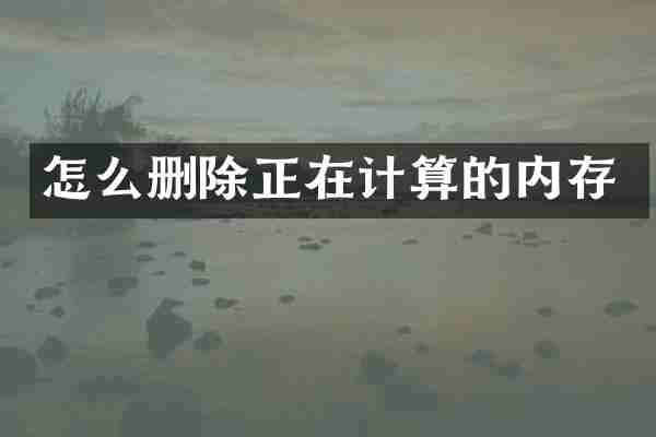 怎么删除正在计算的内存