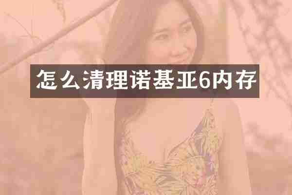 怎么清理诺基亚6内存