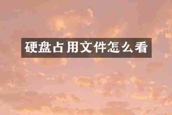 硬盘占用文件怎么看