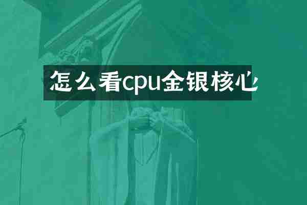 怎么看cpu金银核心