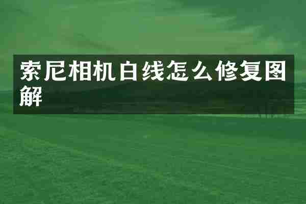 索尼相机白线怎么修复图解
