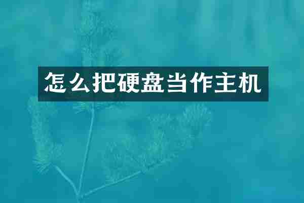 怎么把硬盘当作主机