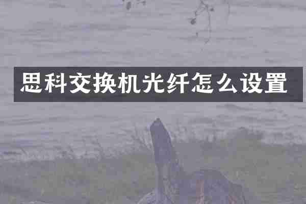思科交换机光纤怎么设置