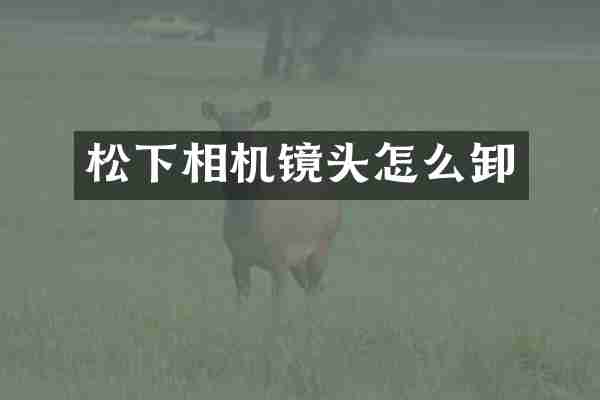 松下相机镜头怎么卸