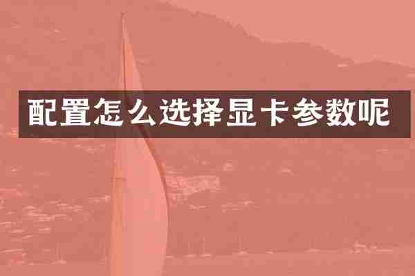 配置怎么选择显卡参数呢