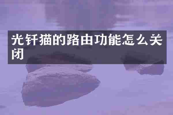 光钎猫的路由功能怎么关闭
