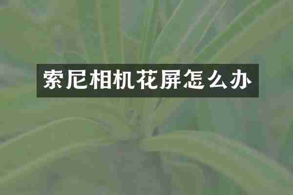 索尼相机花屏怎么办