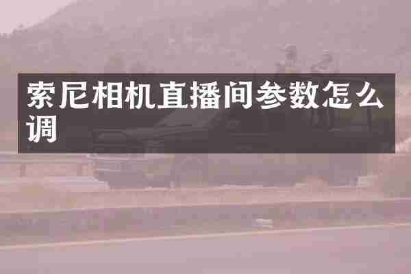索尼相机直播间参数怎么调