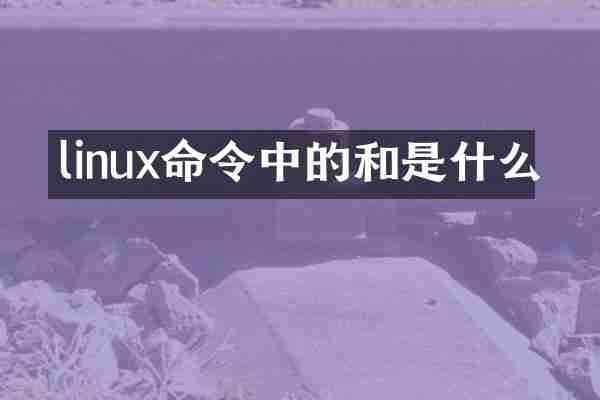 linux命令中的和是什么