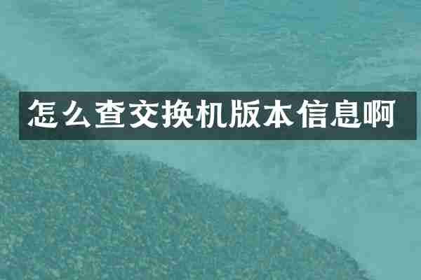 怎么查交换机版本信息啊