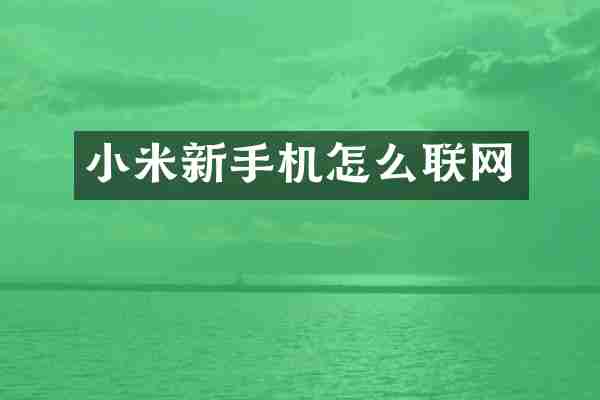 小米新手机怎么联网