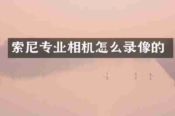 索尼专业相机怎么录像的
