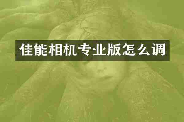 佳能相机专业版怎么调