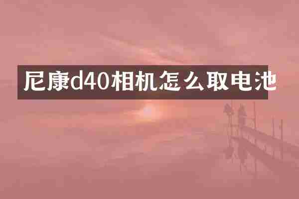 尼康d40相机怎么取电池