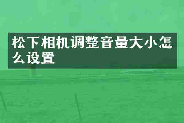 松下相机调整音量大小怎么设置