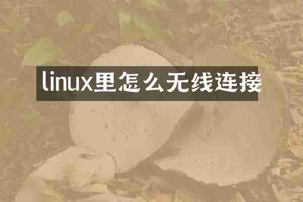 linux里怎么无线连接