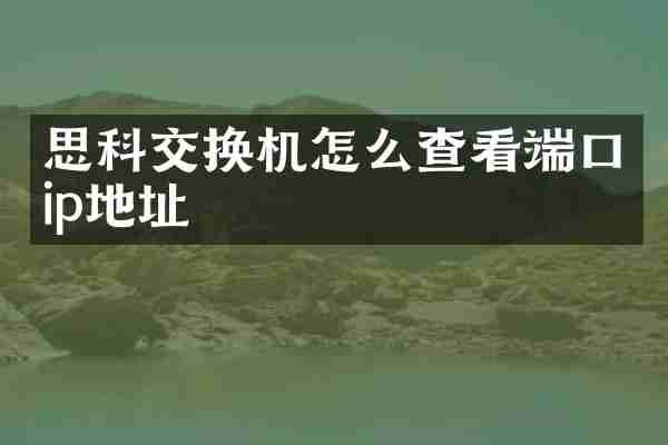 思科交换机怎么查看端口ip地址